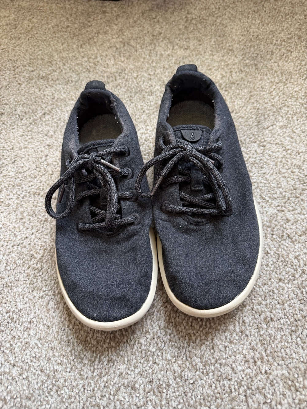 Allbirds Wool Loungers